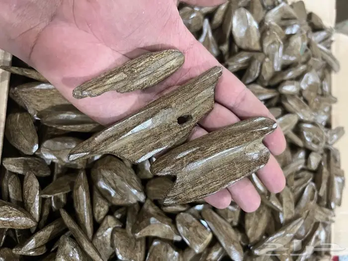جملة عود مروكي محسن كسر مباخر 0