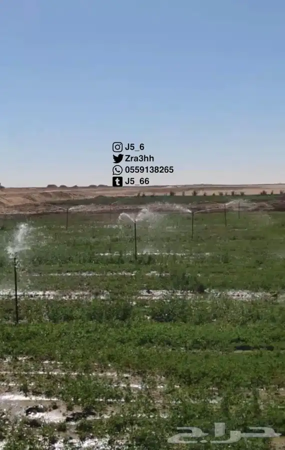 موسسة العارف الزراعية 6