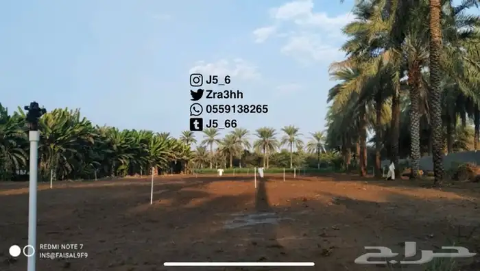 موسسة العارف الزراعية 7