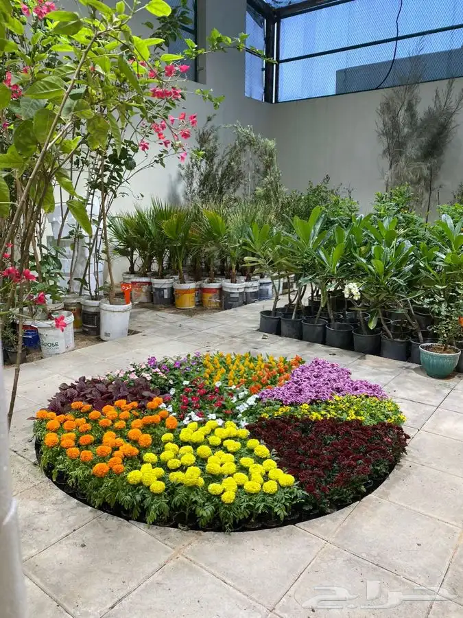 مشتل اصول الحديقة   حفرالباطن 41