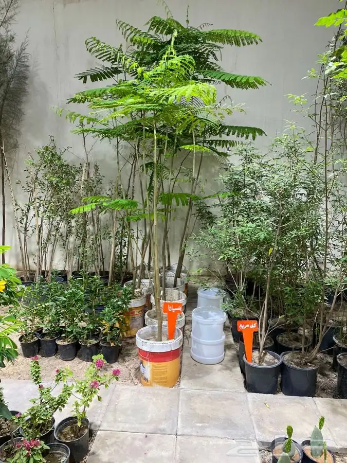 مشتل اصول الحديقة   حفرالباطن 35