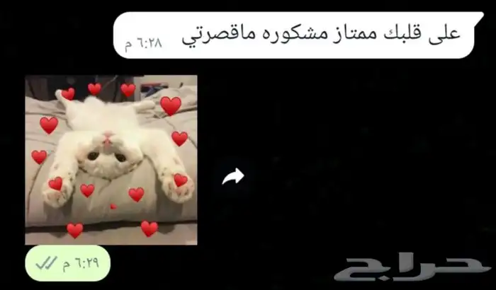 سمبوسه رهيبببه 31