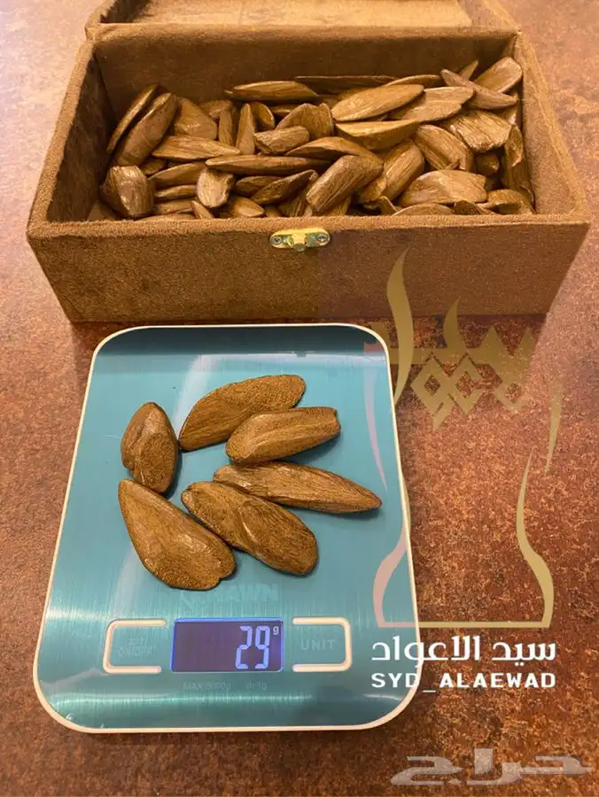 عود مروكي ( تم نفاذ الكمية ) 0