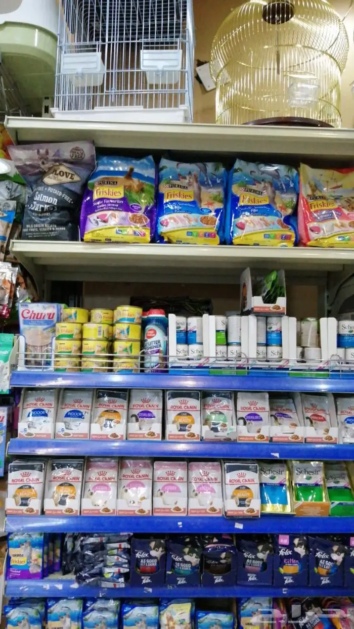 طيور كروان روز فشر كناري زيبرا بادجي دره 18