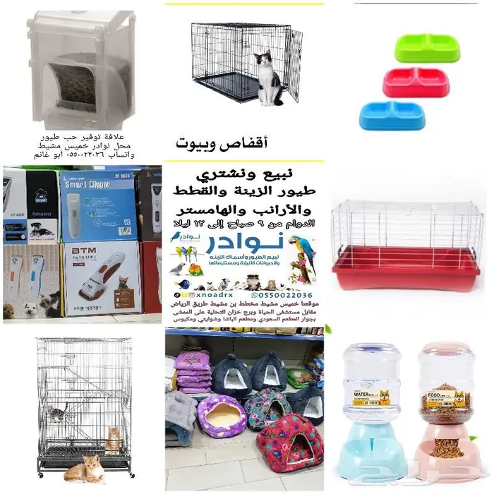 طيور حب بادجي كروان روز فشر كناري روز زيبرا 34