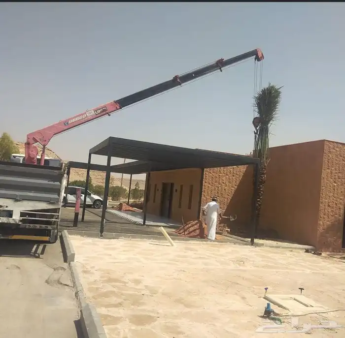 توريد نخيل عربي وواشنطنيا قسم الزراعه لدى الشركه 97