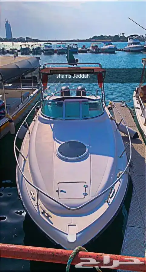 عروض لمدة محدودة على الرحلات البحرية 4