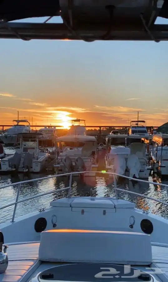 عروض لمدة محدودة على الرحلات البحرية 53