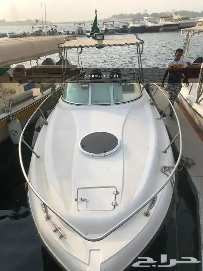 عروض لمدة محدودة على الرحلات البحرية 28