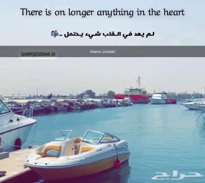 عروض لمدة محدودة على الرحلات البحرية 49