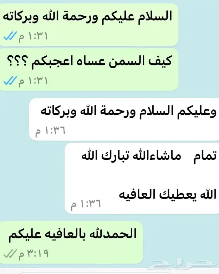 سمن وزبده معزا 14