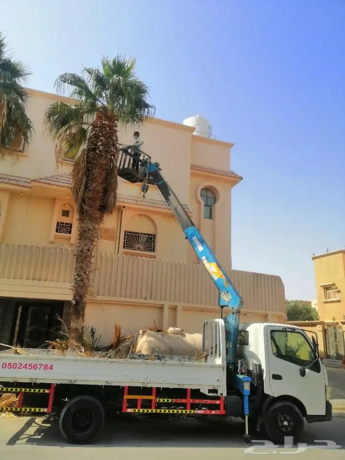 دينا كرين الاحساء رافعة سلة عمال للايجار ونش 2