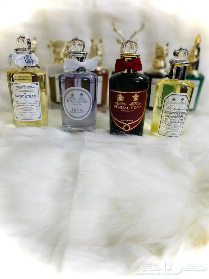 تساتر عطور حصريه و (نيش) 8