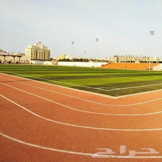 ارضيات مطاطيه وعشب ملاعب وعشب جداري وارضي 19