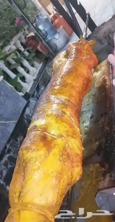 شوي الخروف كامل باالطريقه العثمانيه بموقعك 29