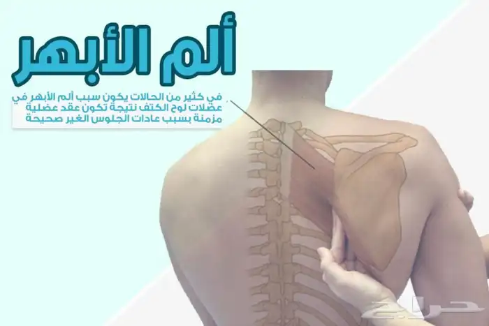 طق ابهر وزيت مساج 3