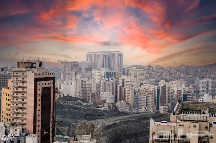 مدرب تصوير   مصور فوتوغرافي ناقد فني 0