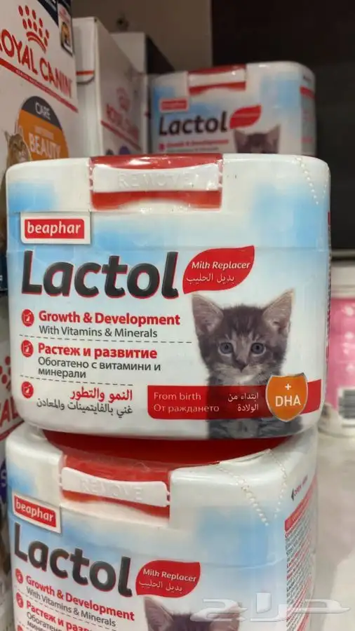 قطط طيور جميع انواع الحيونات اليفه يوجد توصيل 7