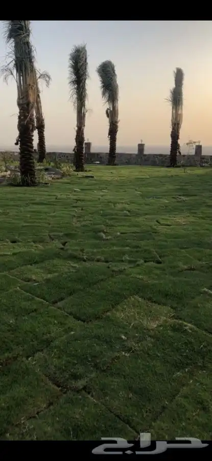 ثيل نجيل C2000 18