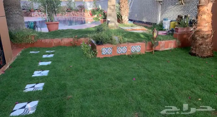 ثيل نجيل C2000 8