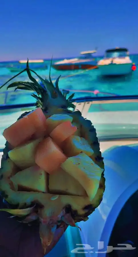 رحلات بحريه نزهه صيد سباحه بياضه 2