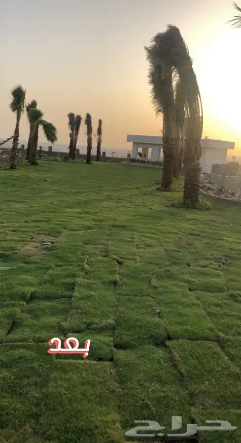 تصميم حدائق 21