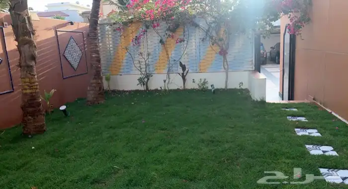 نجيله C2000 عشب طبيعي ثيل 9