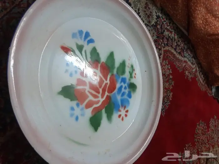 تباسي رز للبيع 6