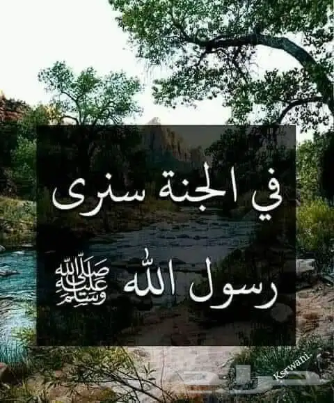 هايس مخززن تويوتا وكالة ماشالله ( مباع ) 11