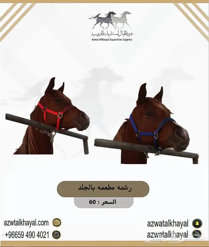 لجام خيل و باندج و حزام عسافه و ثقالات عندنا اقساط 11