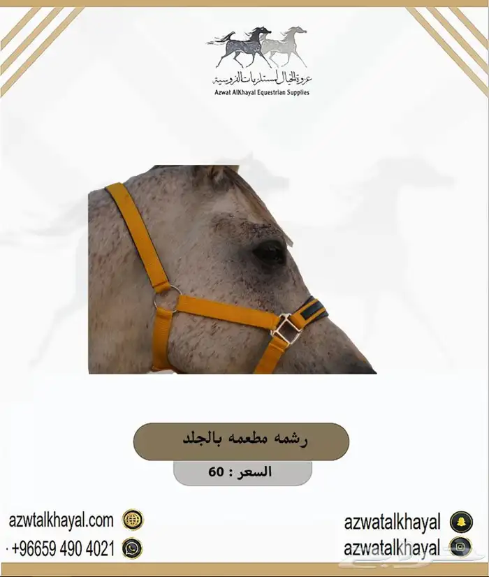 لجام خيل و باندج و حزام عسافه و ثقالات عندنا اقساط 15