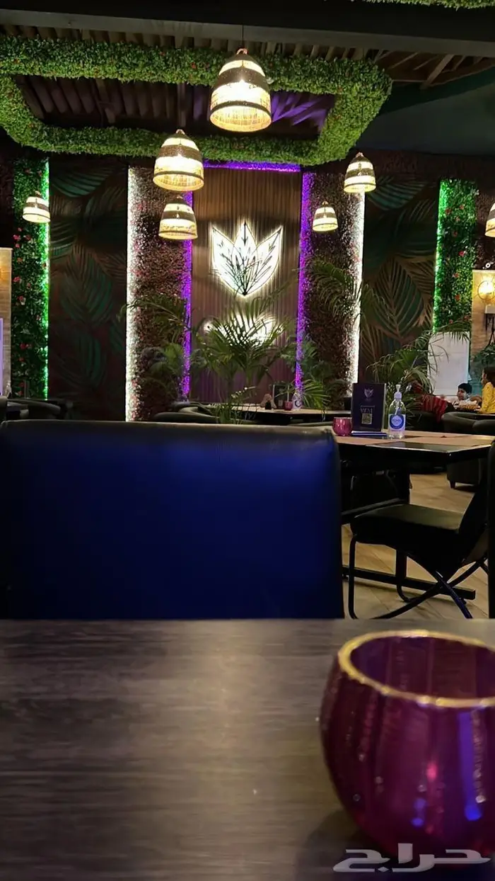 تصميم وتنفيذ ديكور محلات وحدائق ومسابح 21
