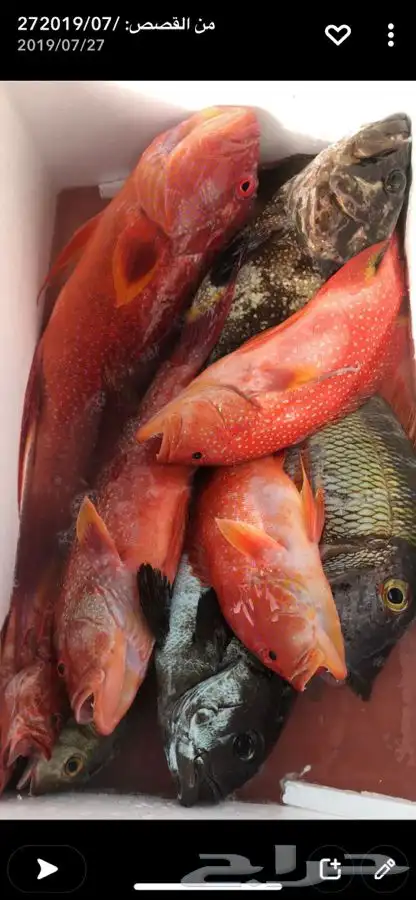 رحلات صيد ابحر 6