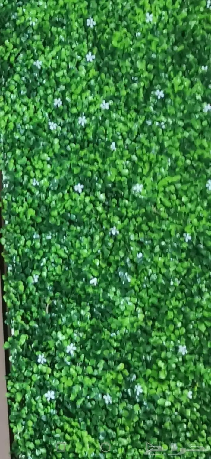 عشب جداري بأسعار منافسة 2