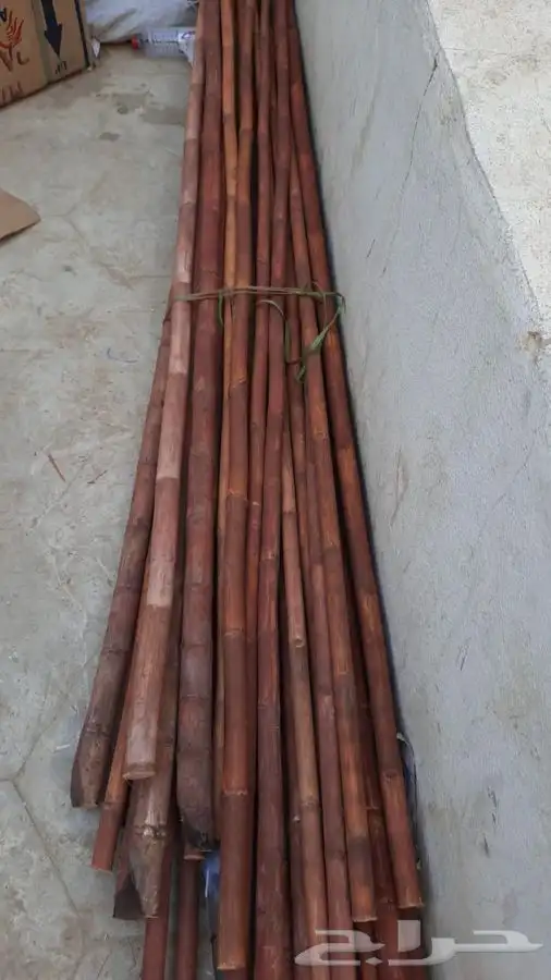 خيزران حسير 3
