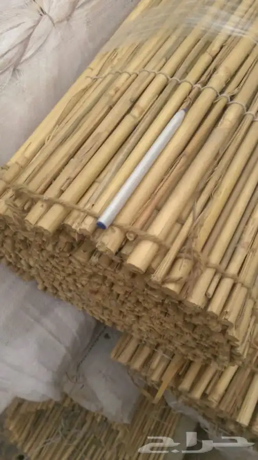 خيزران حسير 14