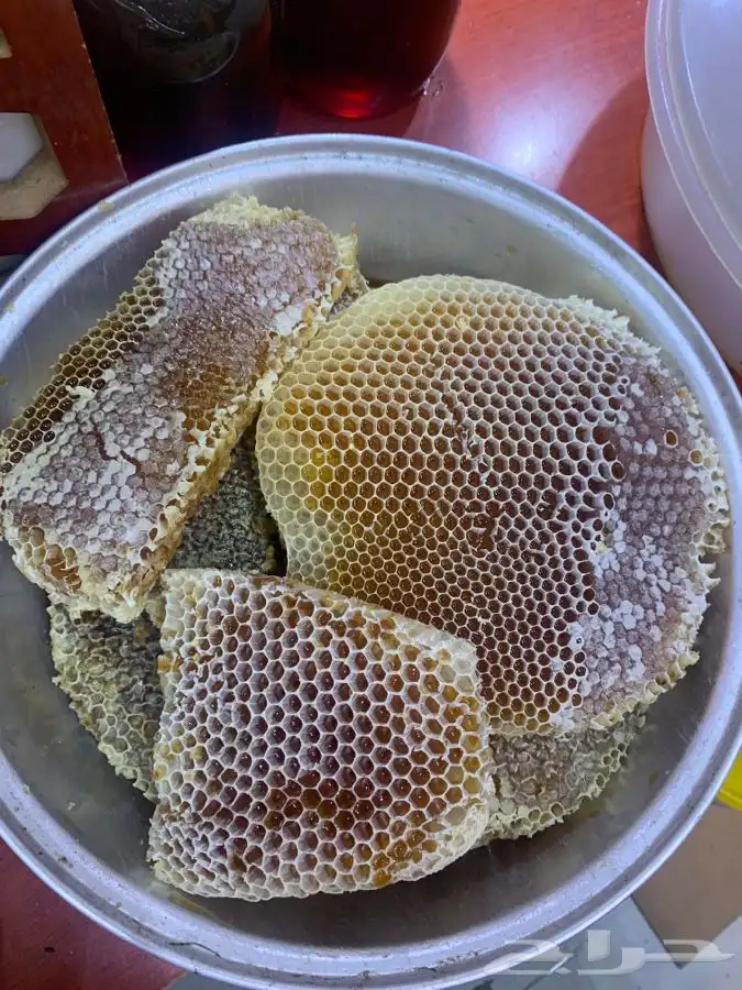 عسل بلدي بالذمة والامانه سدر وسمر انتاج جديد 4