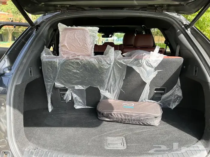 تم البيع خارج الموقع مازدا CX9 2019 سيقنتشر 42