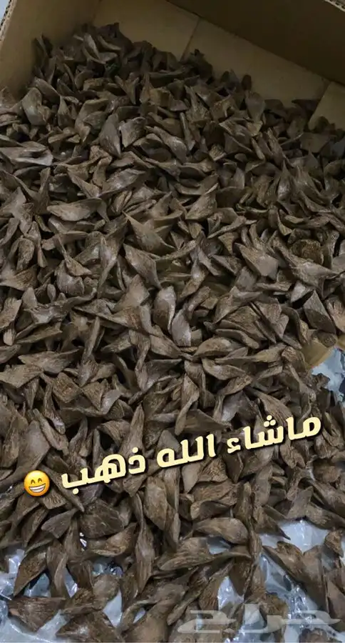 عود ازرق رقم 2 الكيلو 700 ريال فقط 0