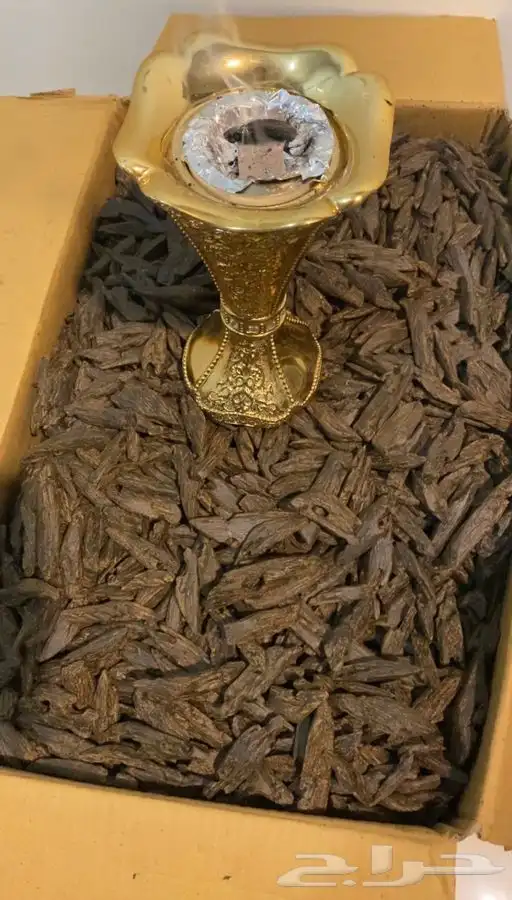 عود ازرق رقم 2 الكيلو 700 ريال فقط 5