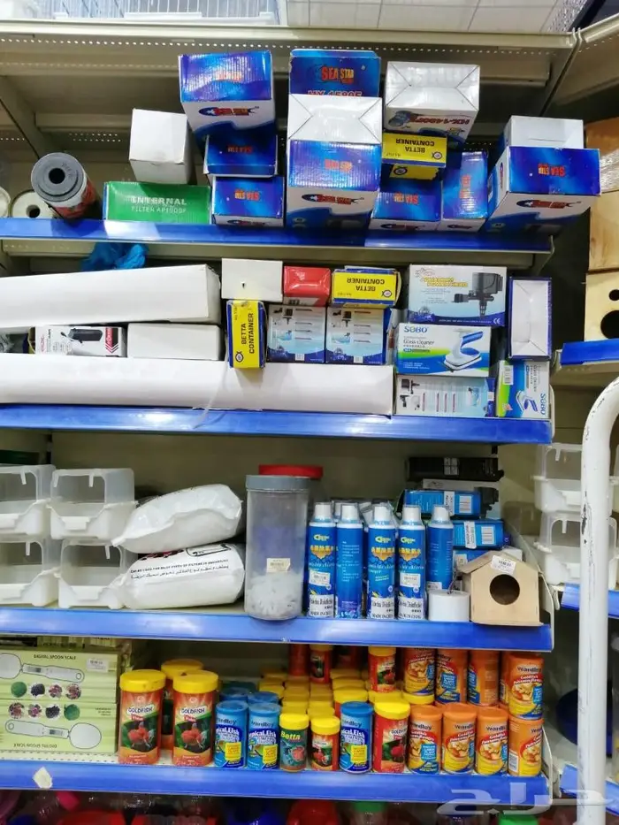 جديد مستلزمات طيور وقطط وهامستر وسلاحف نوادر 1