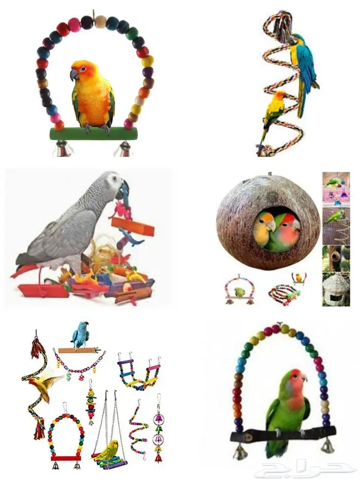 جديد مستلزمات طيور وقطط وهامستر وسلاحف نوادر 30