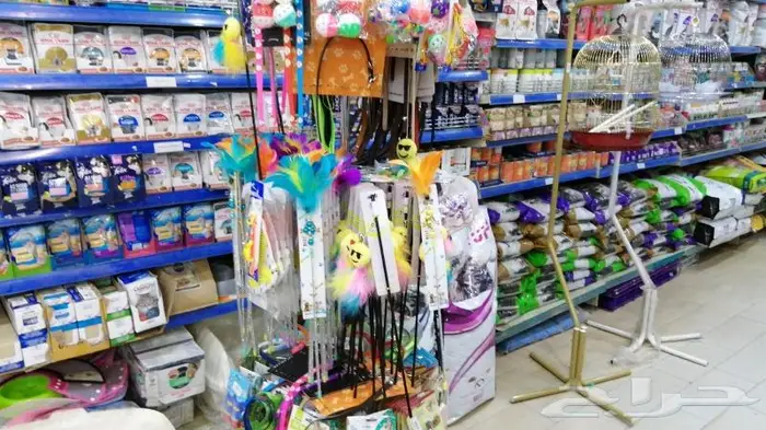 جديد مستلزمات طيور وقطط وهامستر وسلاحف نوادر 13