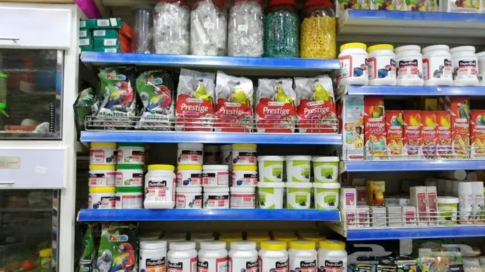 جديد مستلزمات طيور وقطط وهامستر وسلاحف نوادر 17