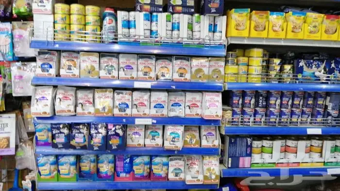 جديد مستلزمات طيور وقطط وهامستر وسلاحف نوادر 19