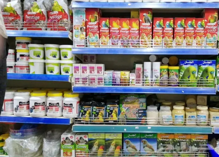 جديد مستلزمات طيور وقطط وهامستر وسلاحف نوادر 14