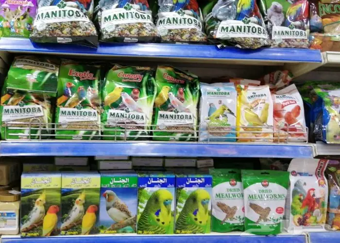 جديد مستلزمات طيور وقطط وهامستر وسلاحف نوادر 15