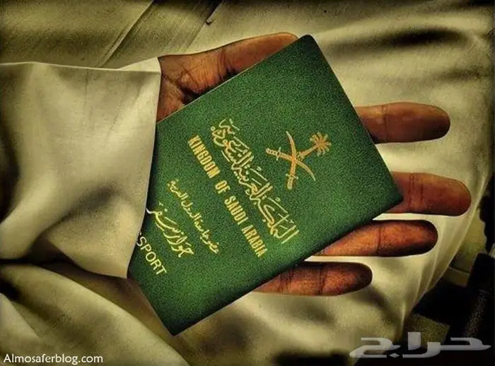 فيزا شنغن اوروبا وامريكا والهند وسنغافورة 0