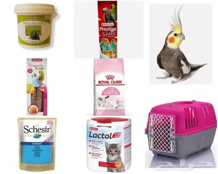 جديد مستلزمات طيور وقطط وهامستر وسلاحف نوادر 44