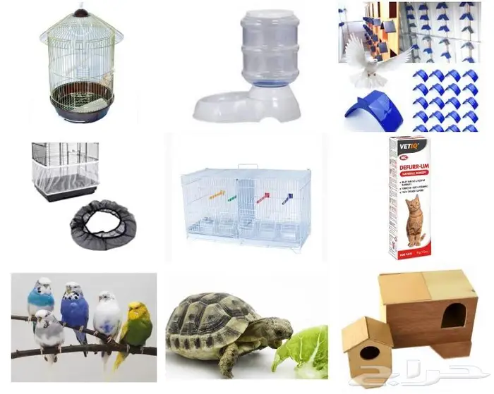 جديد مستلزمات طيور وقطط وهامستر وسلاحف نوادر 45
